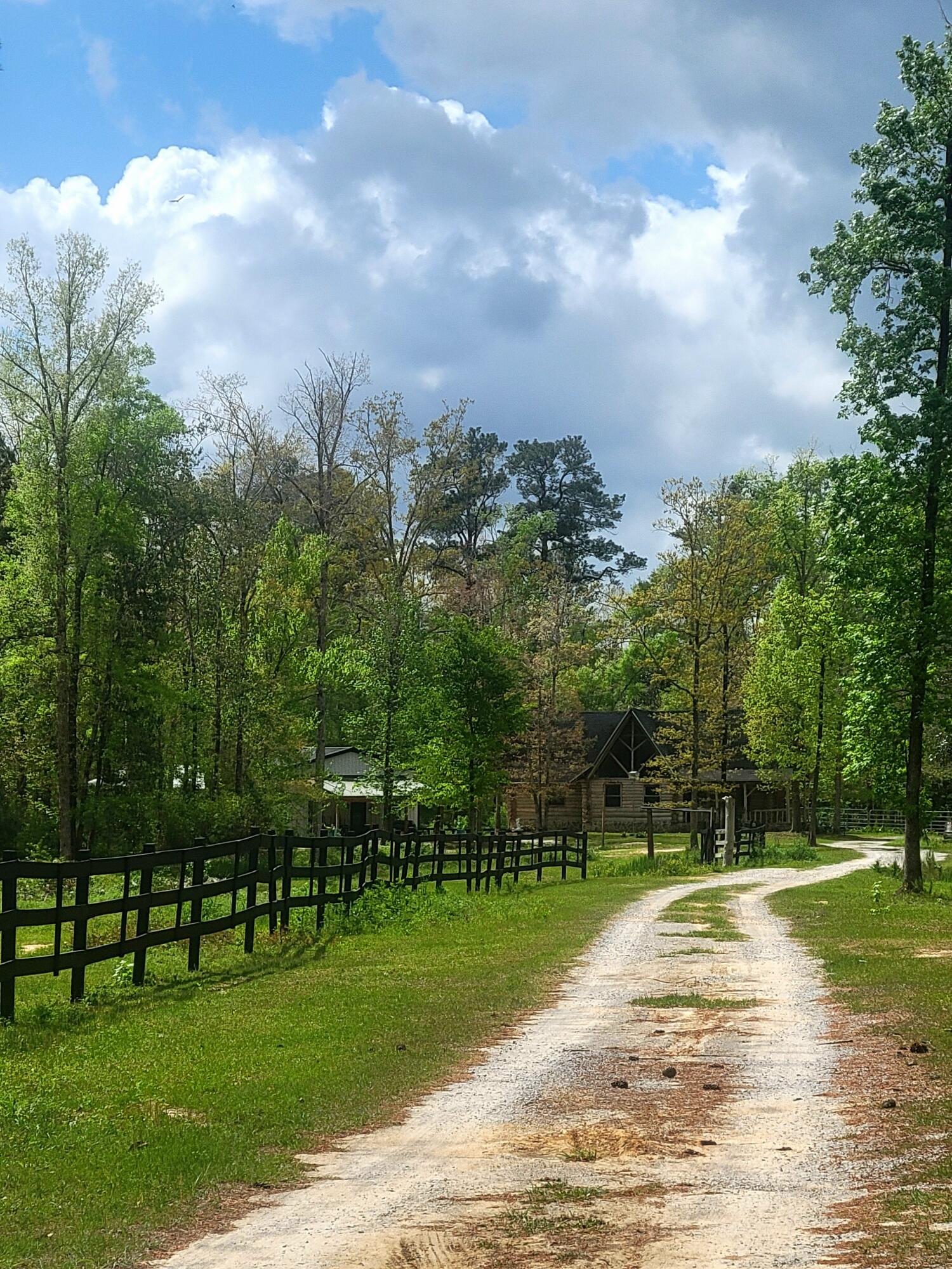 1508 Crooked Creek Road Ponce de Leon, FL 32455 - Photo 57 of 64 a view of a park