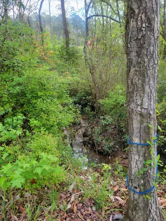 a view of a house with entertaining space