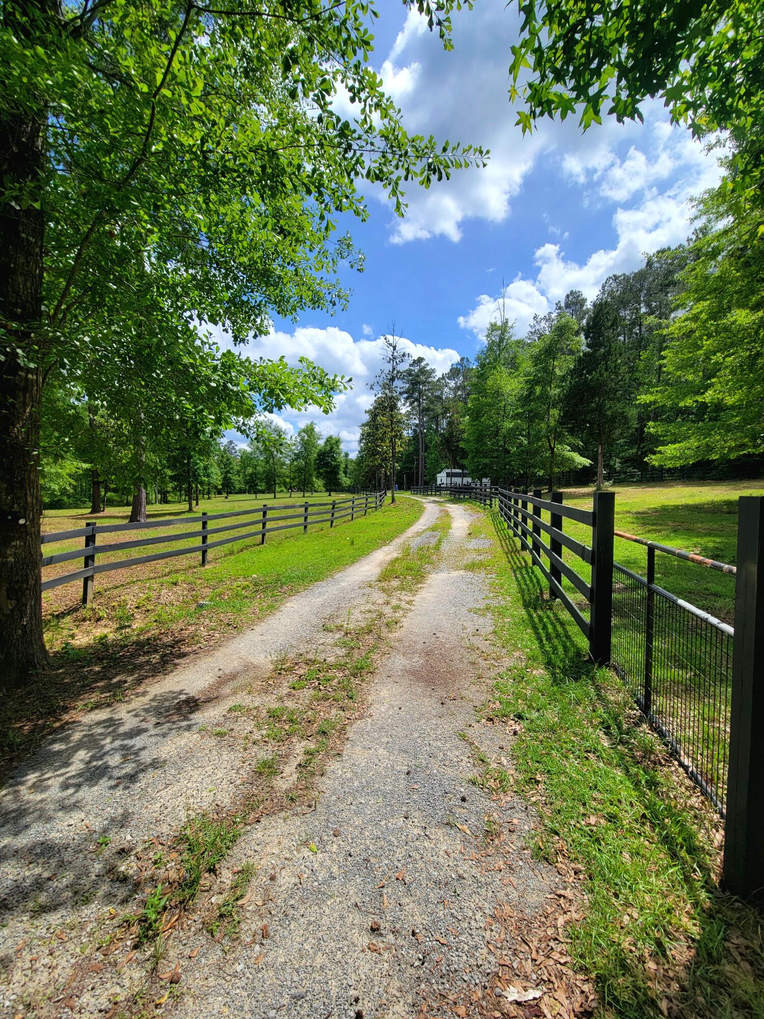 1508 Crooked Creek Road Ponce de Leon, FL 32455 - Photo 7 of 64 1000084976