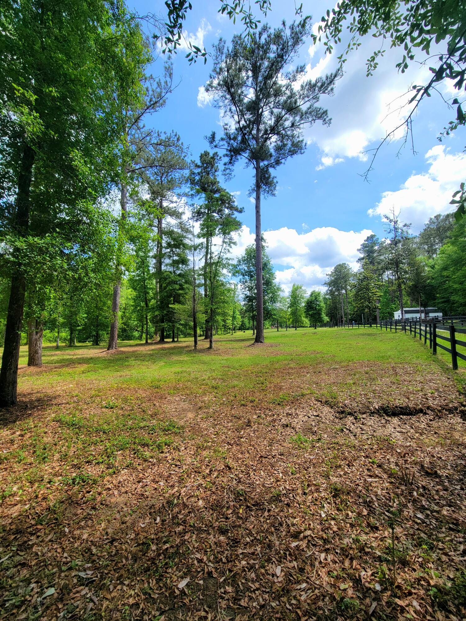 1508 Crooked Creek Road Ponce de Leon, FL 32455 - Photo 10 of 64 Pasture