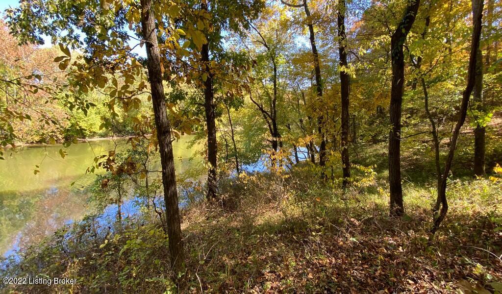L41 Ted Logsdon Road Clarkson, KY 42726 - Photo 13 of 13 River View Fall211