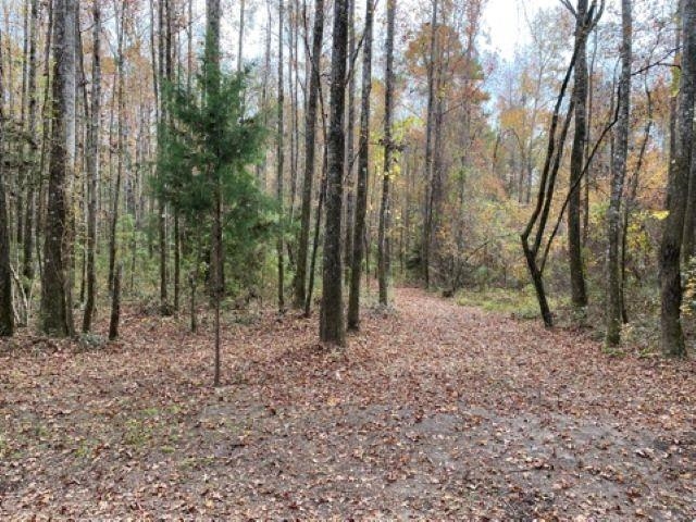 Deer Run Sopchoppy, FL 32358 - Photo 12 of 25