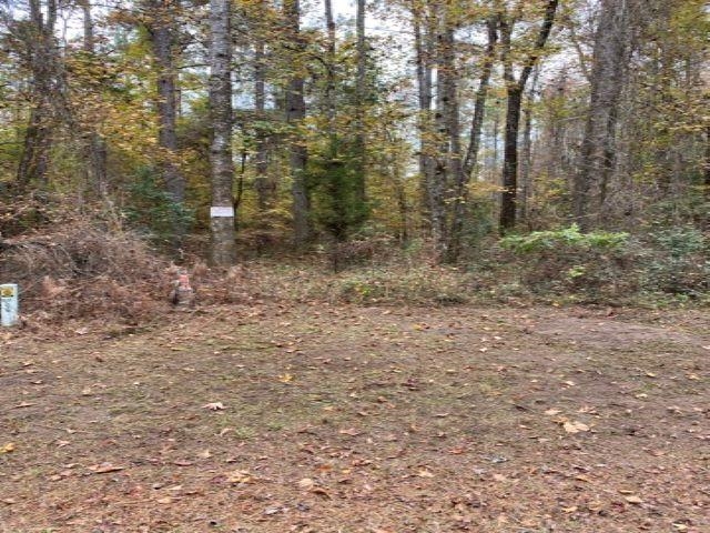 Deer Run Sopchoppy, FL 32358 - Photo 14 of 25