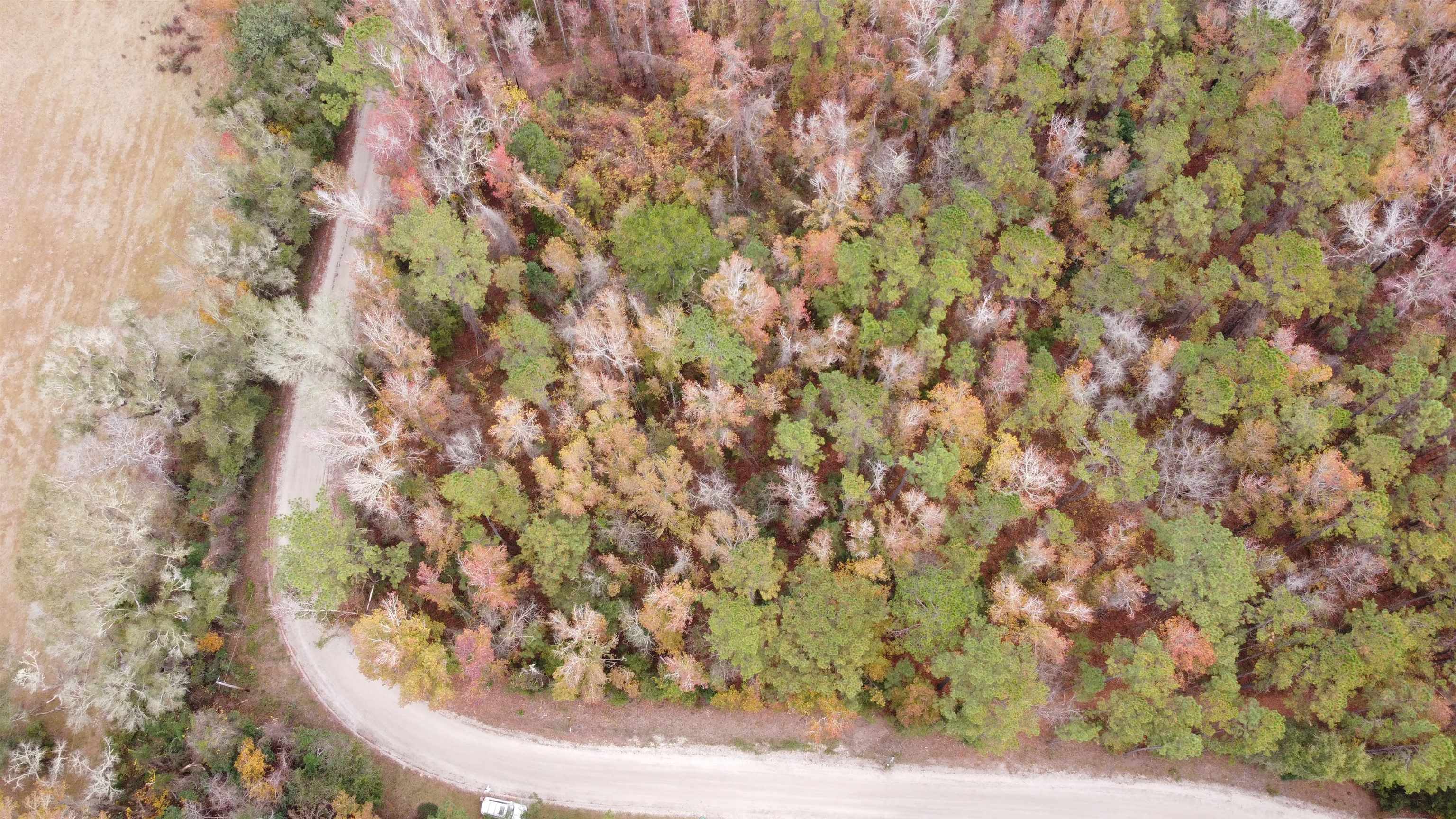 Deer Run Sopchoppy, FL 32358 - Photo 15 of 25