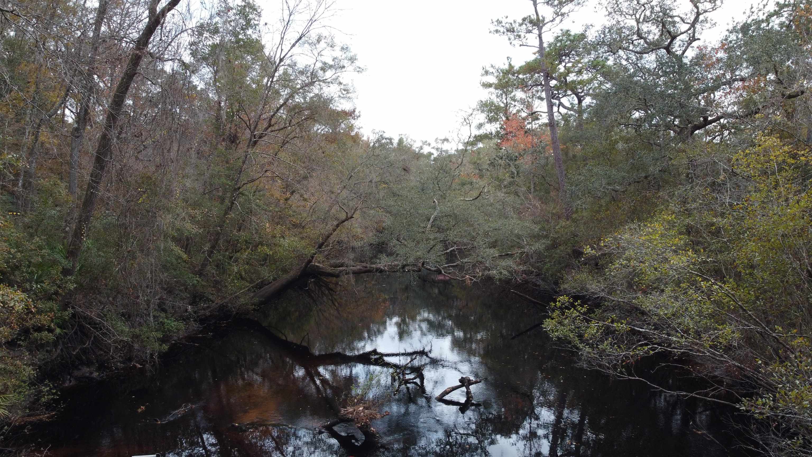 Deer Run Sopchoppy, FL 32358 - Photo 2 of 25