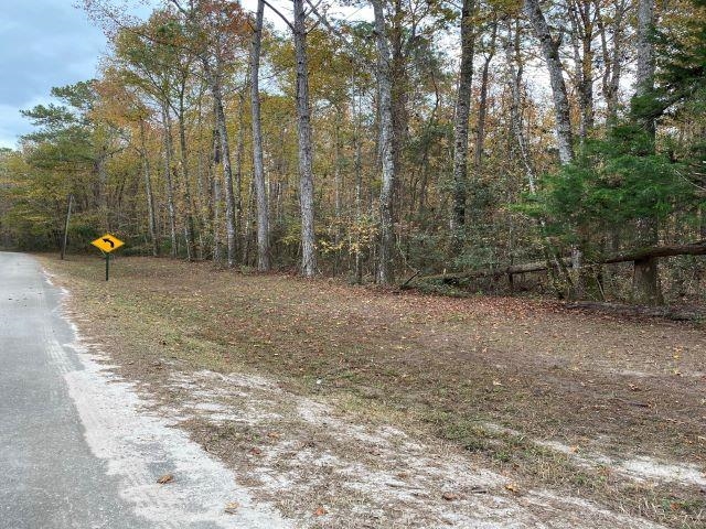 Deer Run Sopchoppy, FL 32358 - Photo 21 of 25