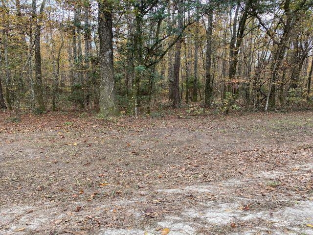 Deer Run Sopchoppy, FL 32358 - Photo 23 of 25