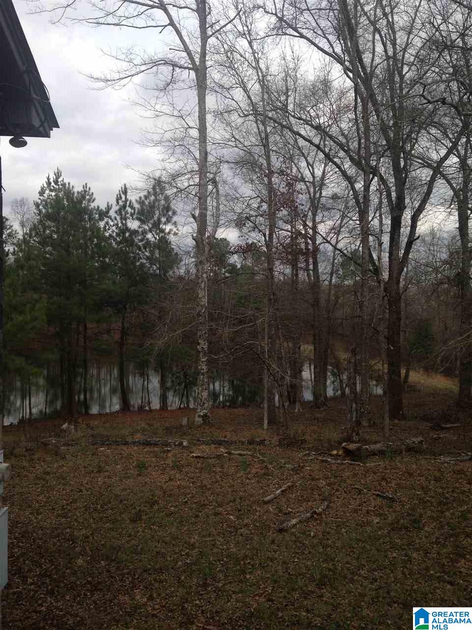 6007 County Road 41 Clanton, AL 35046 - Photo 28 of 37