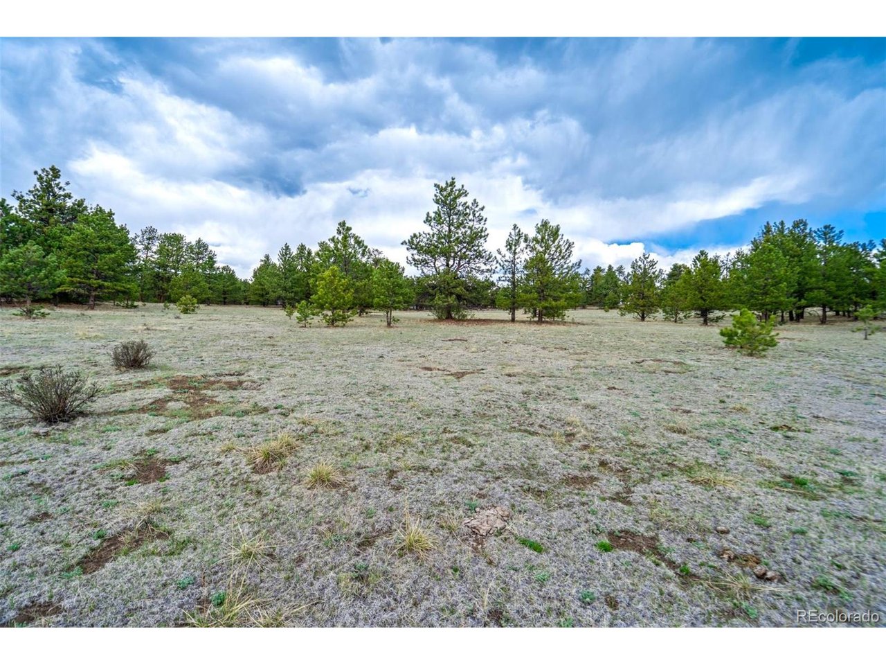 103 Doe Valley Road Guffey, CO 80820 - Photo 13 of 46
