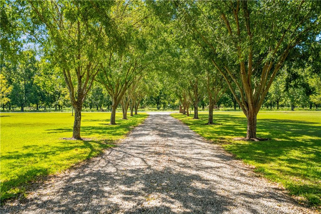 239 Rosalie Road Alexandria, LA 71302 - Photo 2 of 52
