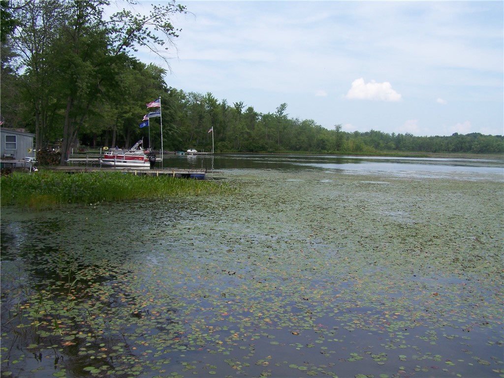 54 Lilly Lane Conquest, NY 13143 - Photo 11 of 21