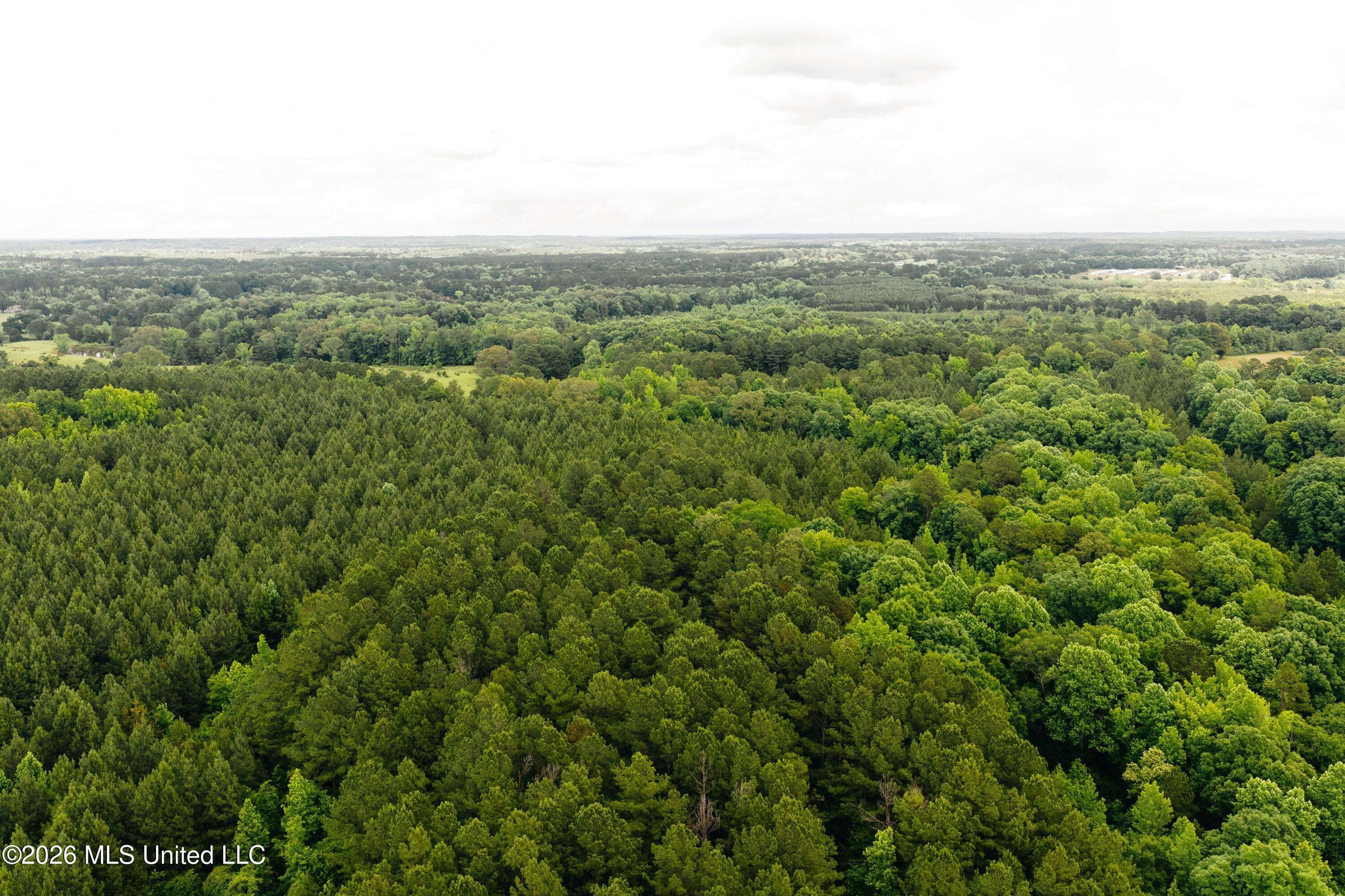10843 Reservation Road Philadelphia, MS 39350 - Photo 21 of 42 DJI_20260523042817_0511_D