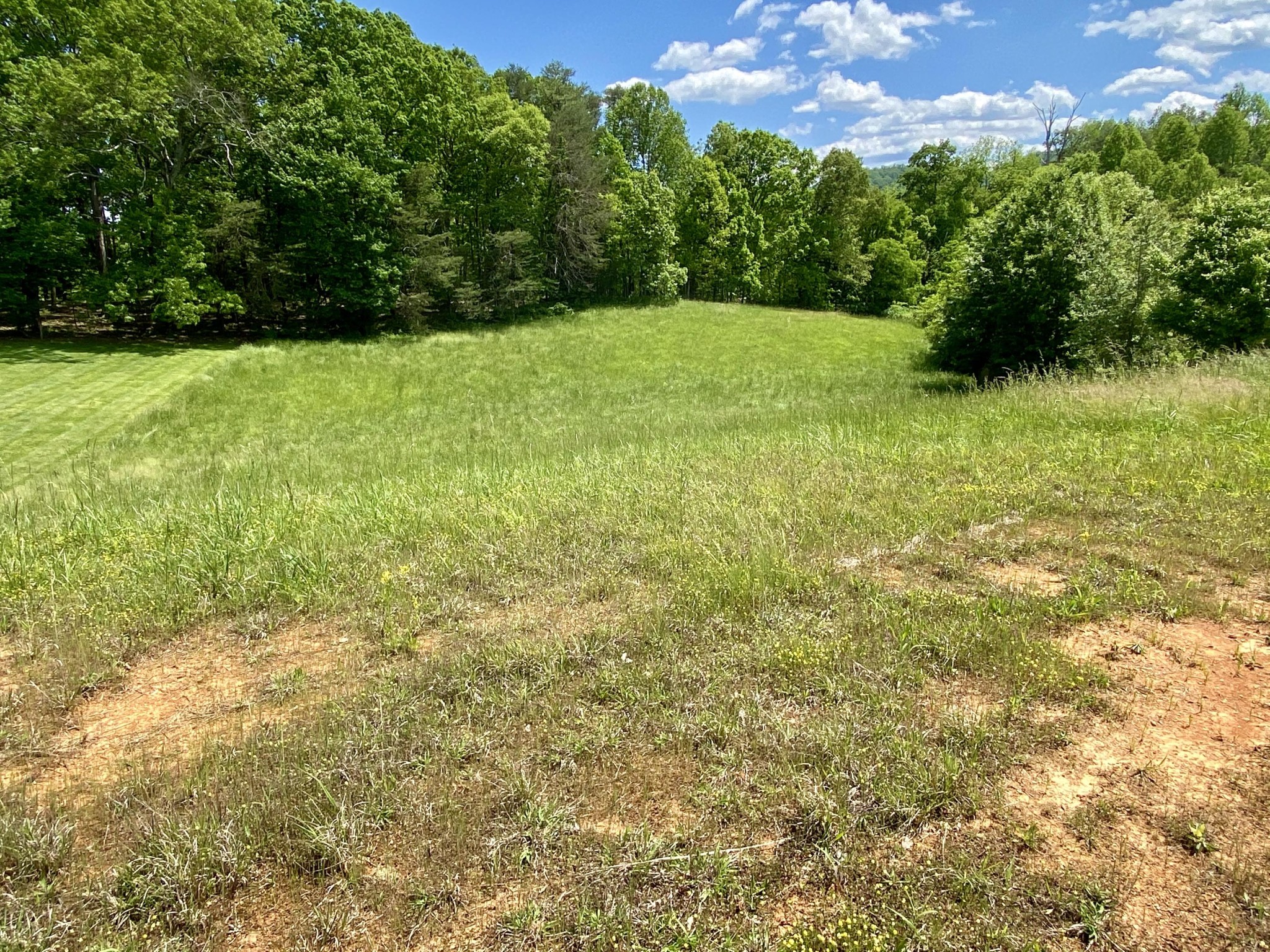 0 Robert Ridge Road Sevierville, TN 37862 - Photo 7 of 10 Gallery Image 7