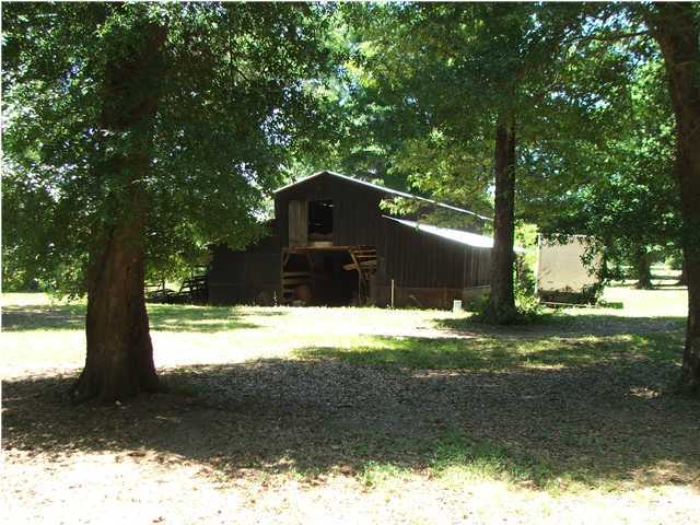 5102 Griffith Mill Road Holt, FL 32564 - Photo 10 of 12 a view of a yard in a yard