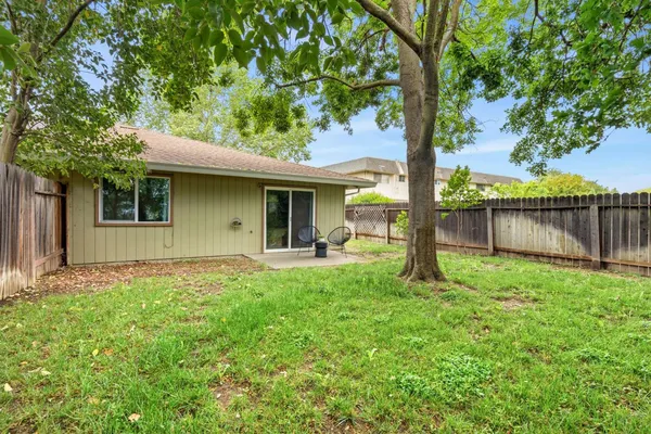 a bedroom with a bed and a potted plant