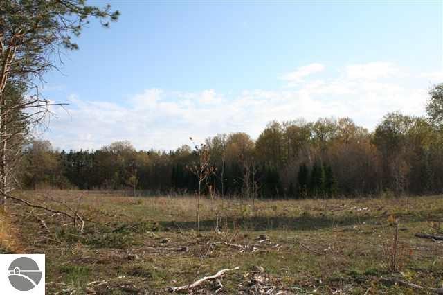 5670 Wallaker Road Benzonia, MI 49616 - Photo 11 of 26 Gallery Image 11
