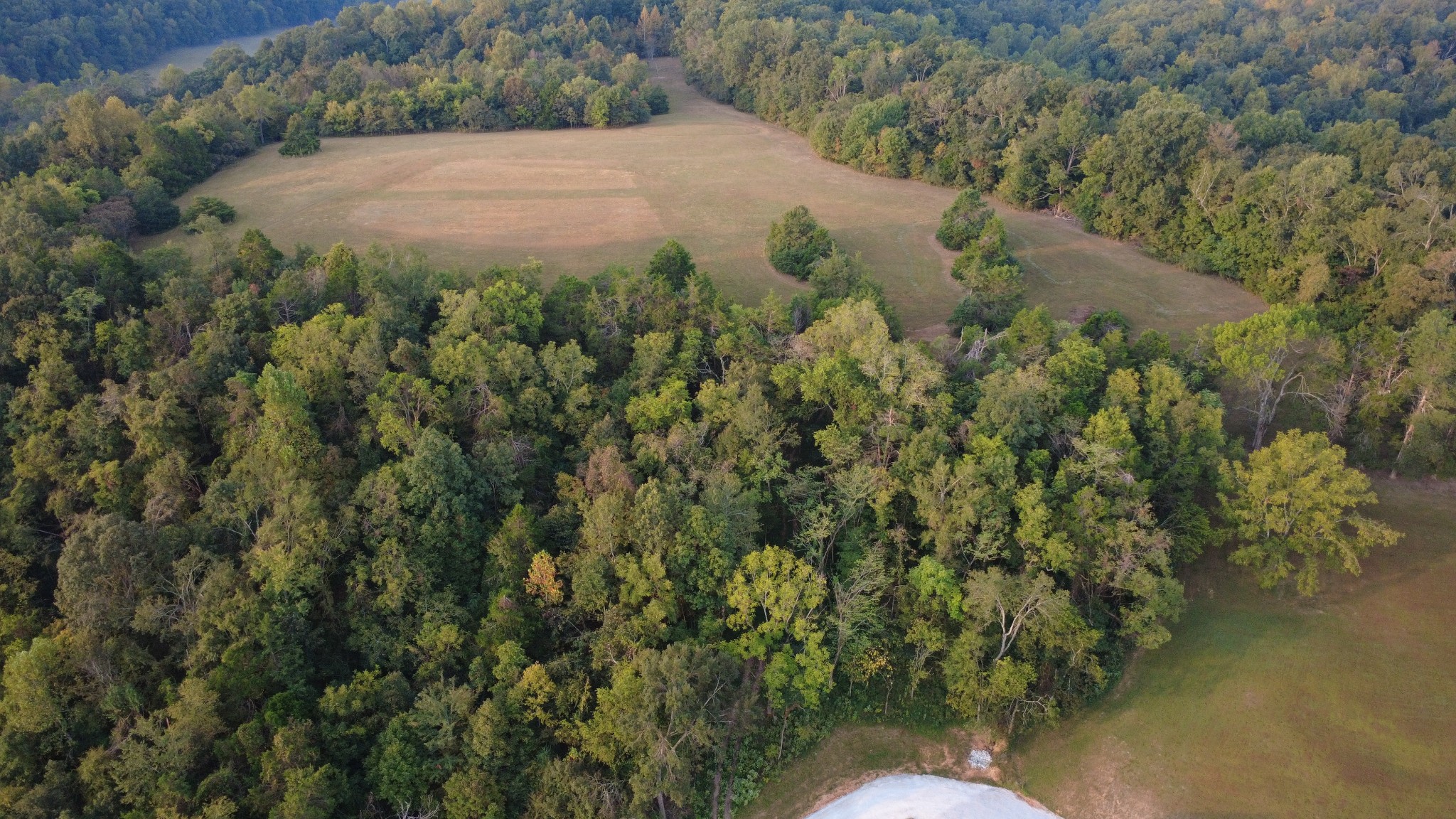 1447 West Beaverdam Road Centerville, TN 37033 - Photo 36 of 58 Gallery Image 36