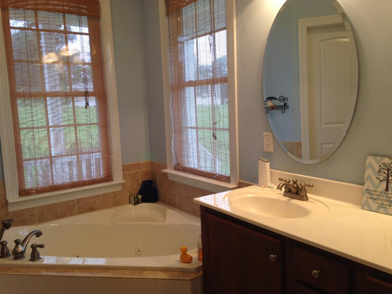 4678 Elevation Road Benson, NC 27504 - Photo 8 of 21 Master Bath