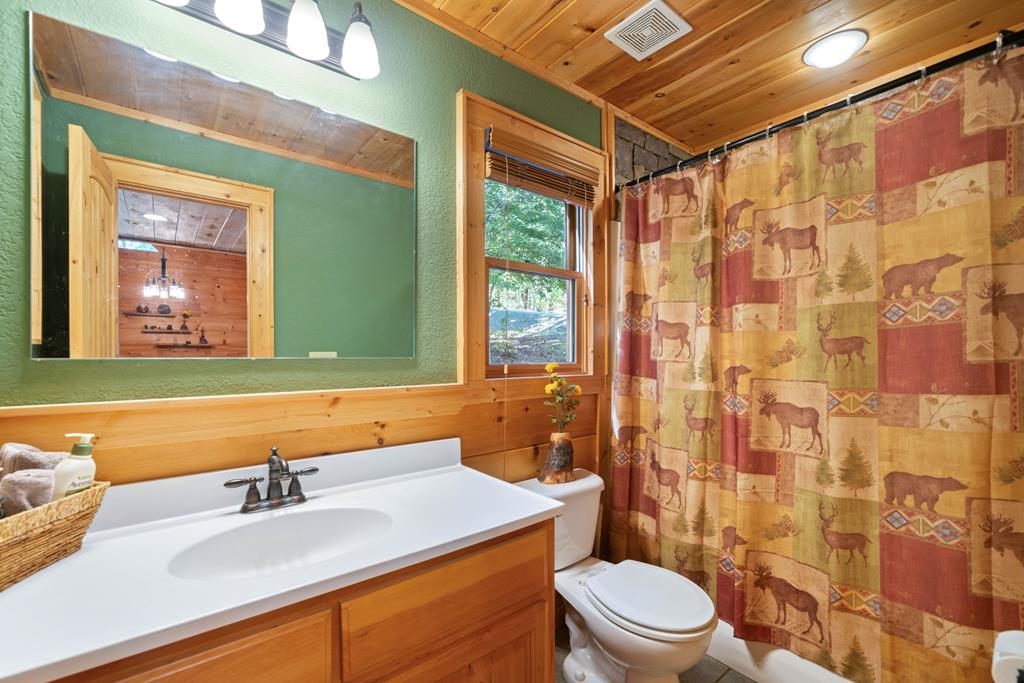 120 Trails End Ridge Ellijay, GA 30540 - Photo 25 of 58 Gallery Image 25