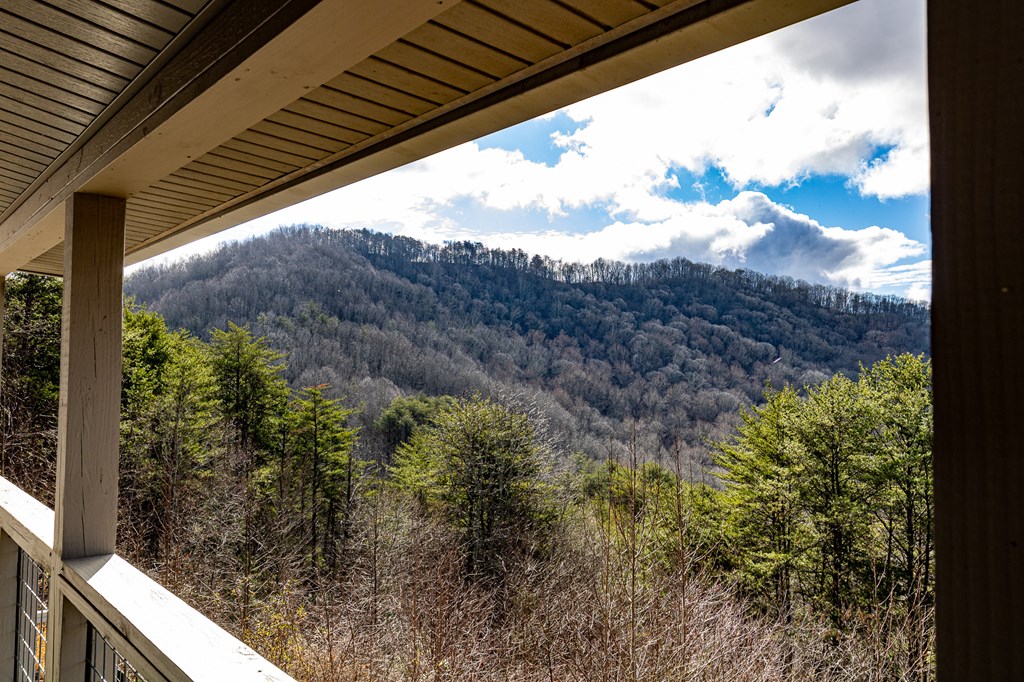 226 Shinbone Mountain Road Turtletown, TN 37391 - Photo 5 of 23