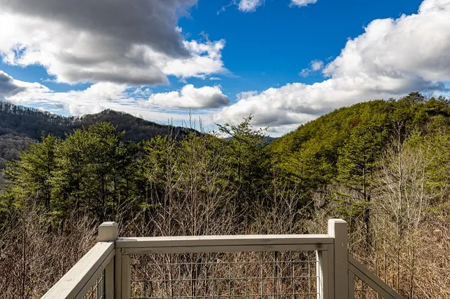 $360,000 | 226 Shinbone Mountain Road, Turtletown, TN 37391