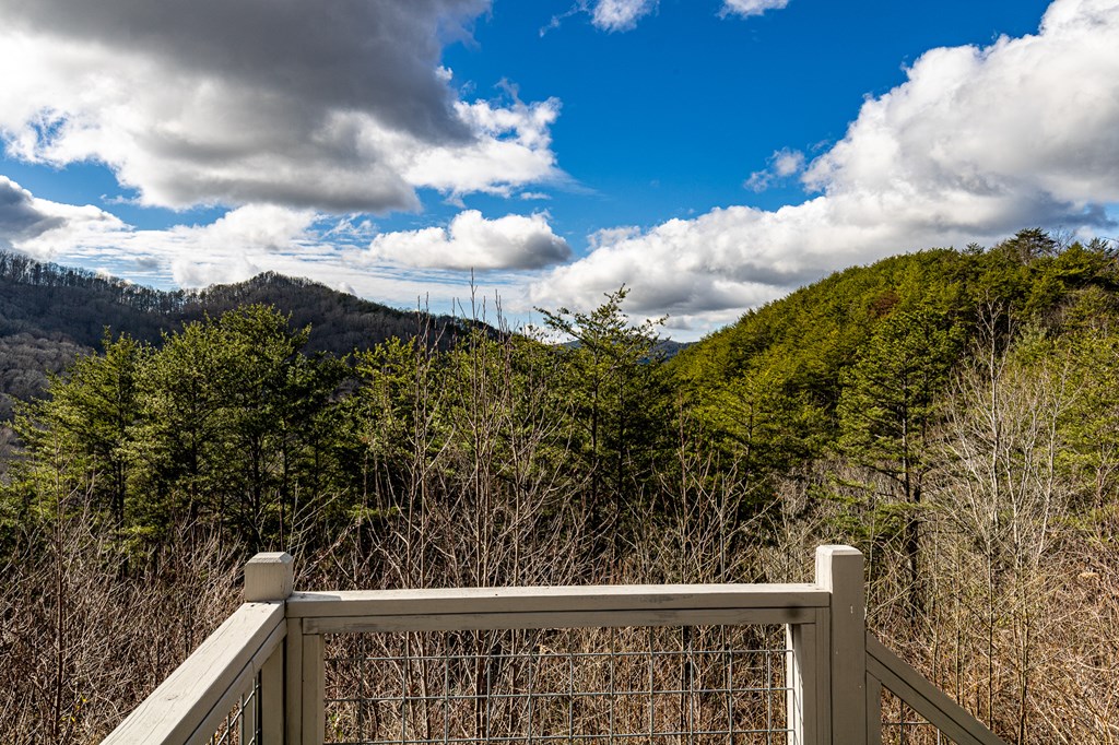 226 Shinbone Mountain Road Turtletown, TN 37391 - Photo 6 of 23