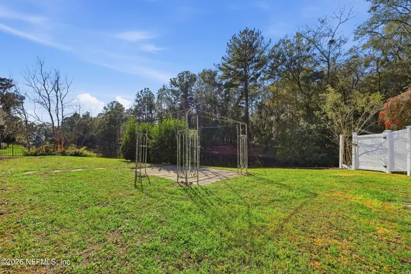 a view of field with tall trees