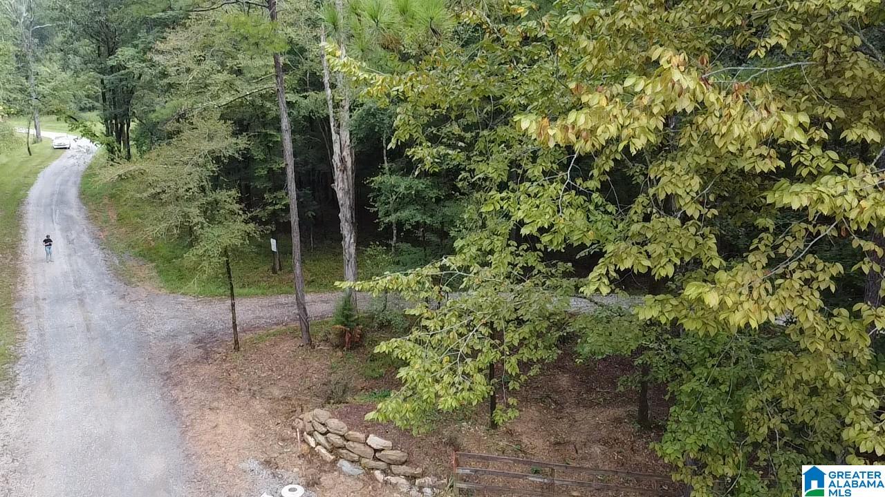 58 Rustic Oaks Drive Sterrett, AL 35147 - Photo 21 of 30