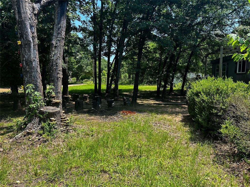 120 Timber Trail Mabank, TX 75156 - Photo 3 of 12 a view of backyard with green space