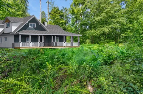 a view of a lush green forest