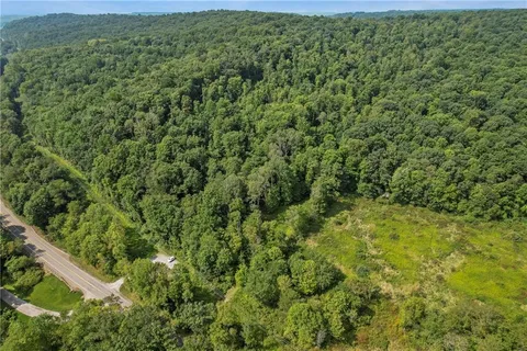 a view of a forest with a street