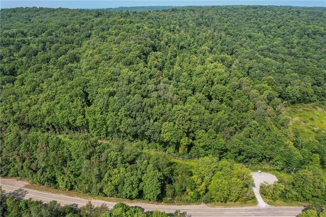 a view of a forest with a houses