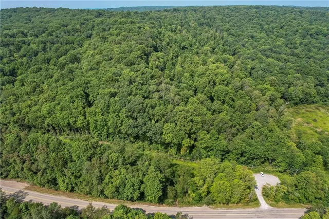 a view of a forest with a houses