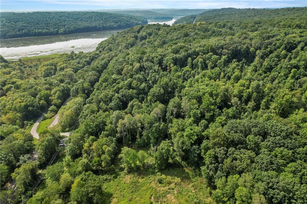 W West Prospect Road Slippery Rock, PA 16057 - Photo 17 of 22 a view of a forest with a houses