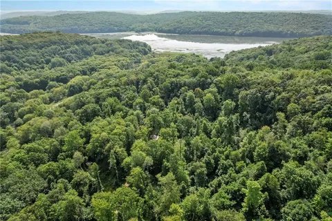 a view of a field with an trees