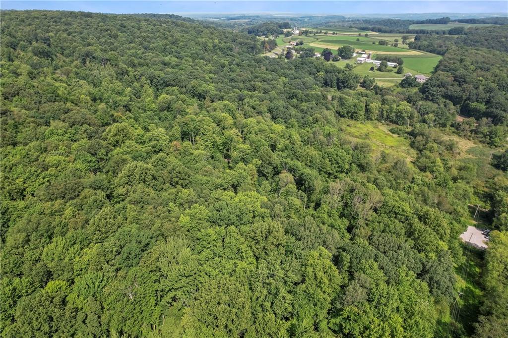 W West Prospect Road Slippery Rock, PA 16057 - Photo 20 of 22 an aerial view of residential houses with outdoor space and trees