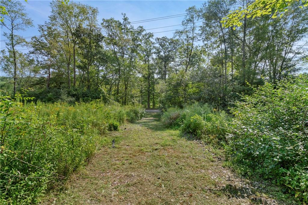 W West Prospect Road Slippery Rock, PA 16057 - Photo 5 of 22 a view of a lush green forest with large trees