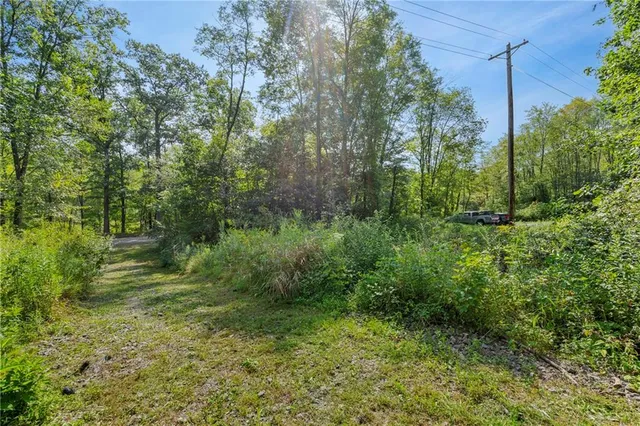 a view of outdoor space and green space