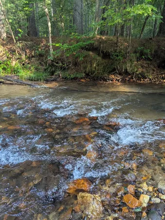 $990,000 | 86 Tipton Court, Cherry Log, GA 30522