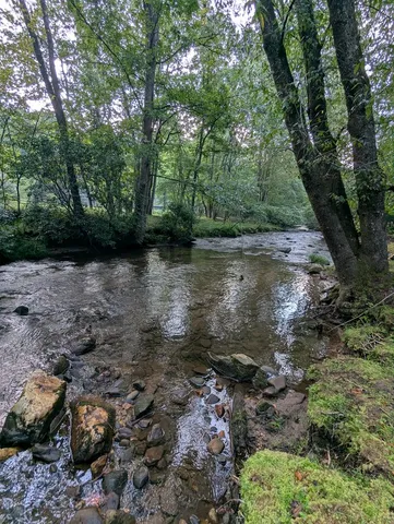 $1,000,000 | 86 Tipton Court, Cherry Log, GA 30522