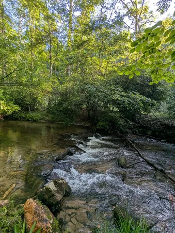 $1,000,000 | 86 Tipton Court, Cherry Log, GA 30522