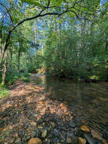 $1,000,000 | 86 Tipton Court, Cherry Log, GA 30522