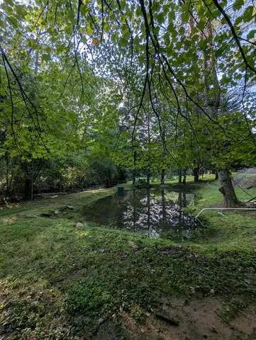 $1,000,000 | 86 Tipton Court, Cherry Log, GA 30522