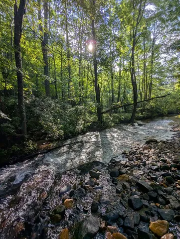 $1,000,000 | 86 Tipton Court, Cherry Log, GA 30522