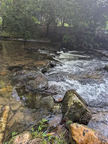 $1,000,000 | 86 Tipton Court, Cherry Log, GA 30522