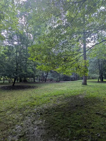 $1,000,000 | 86 Tipton Court, Cherry Log, GA 30522