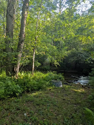 $1,000,000 | 86 Tipton Court, Cherry Log, GA 30522