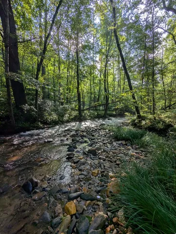 $1,000,000 | 86 Tipton Court, Cherry Log, GA 30522