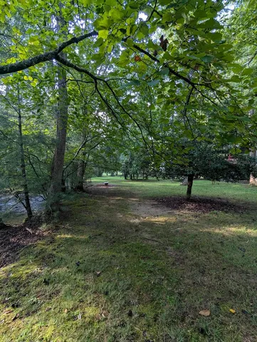 $1,000,000 | 86 Tipton Court, Cherry Log, GA 30522