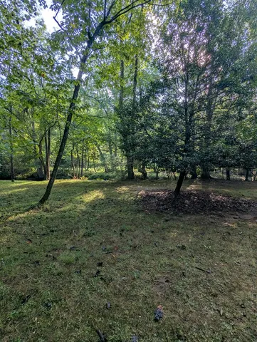 $1,000,000 | 86 Tipton Court, Cherry Log, GA 30522